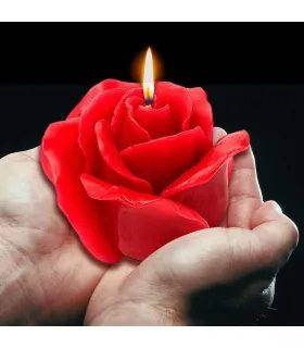 Sant Jordi's Rose candle